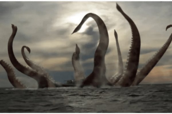 Kraken рабочий