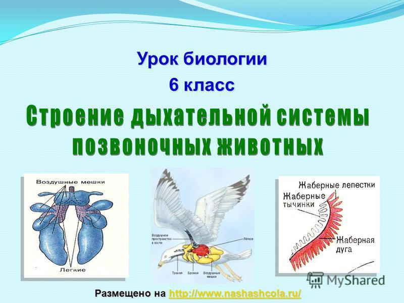 Не могу зайти на сайт кракен